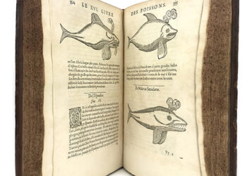 rondelet guillaume - blog marche du livre ancien